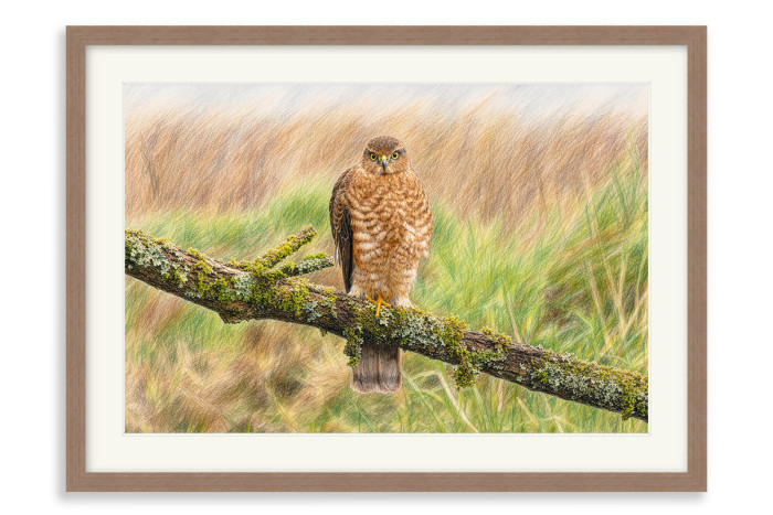 Walnut Frame A3 - 29 x 42 cm (+£159.00)